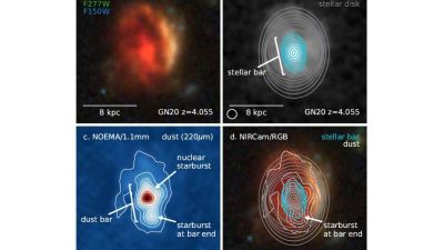 Imagen del JWST que muestra GN20, una galaxia masiva, rica en gas y polvo, en z=4,055 que alberga una barra estelar de 7 kilóparsecs recién descubierta.