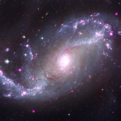 NGC 1672 - Galaxy gallery: Sixteen galaxies including spirals, ellipticals, and irregulars.